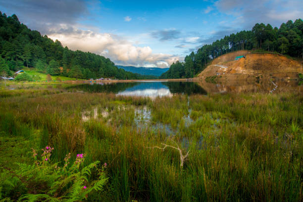 Munnar