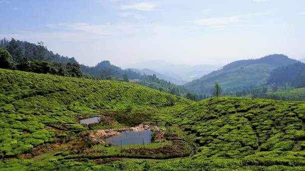 Munnar