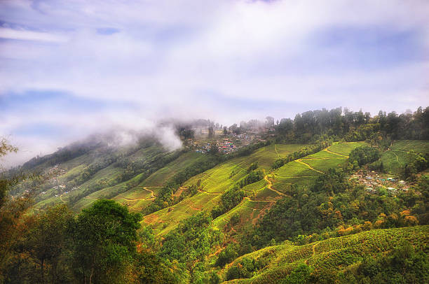 Munnar