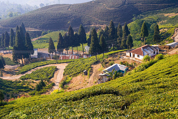 Munnar