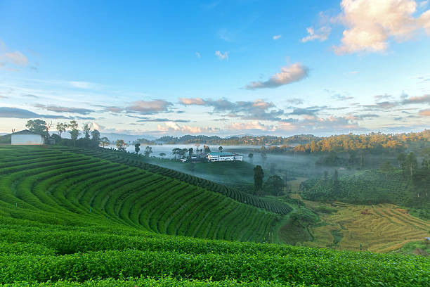 Munnar