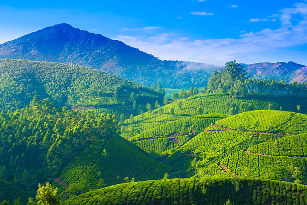 Munnar