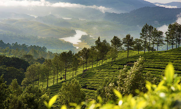 Munnar