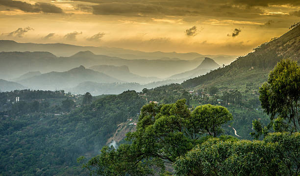 Munnar