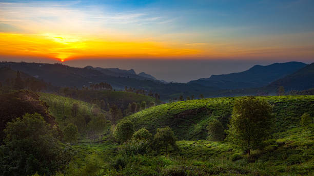 Munnar