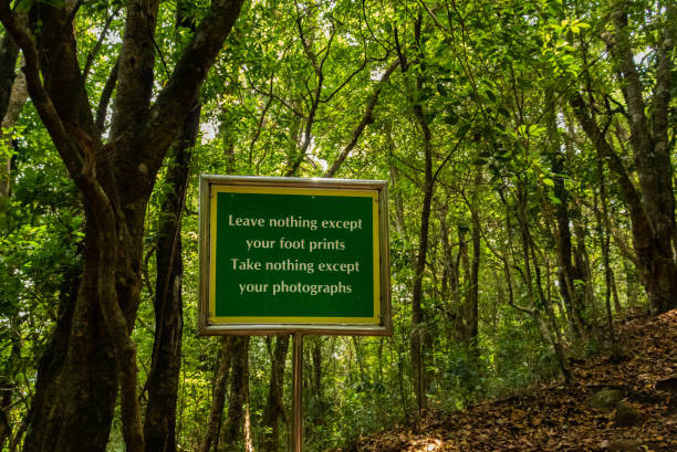 Munnar