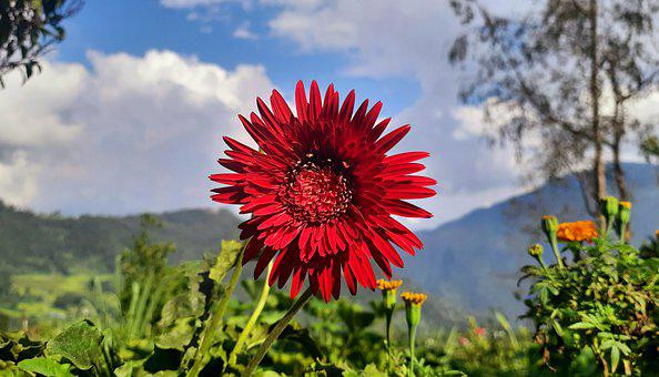 Munnar